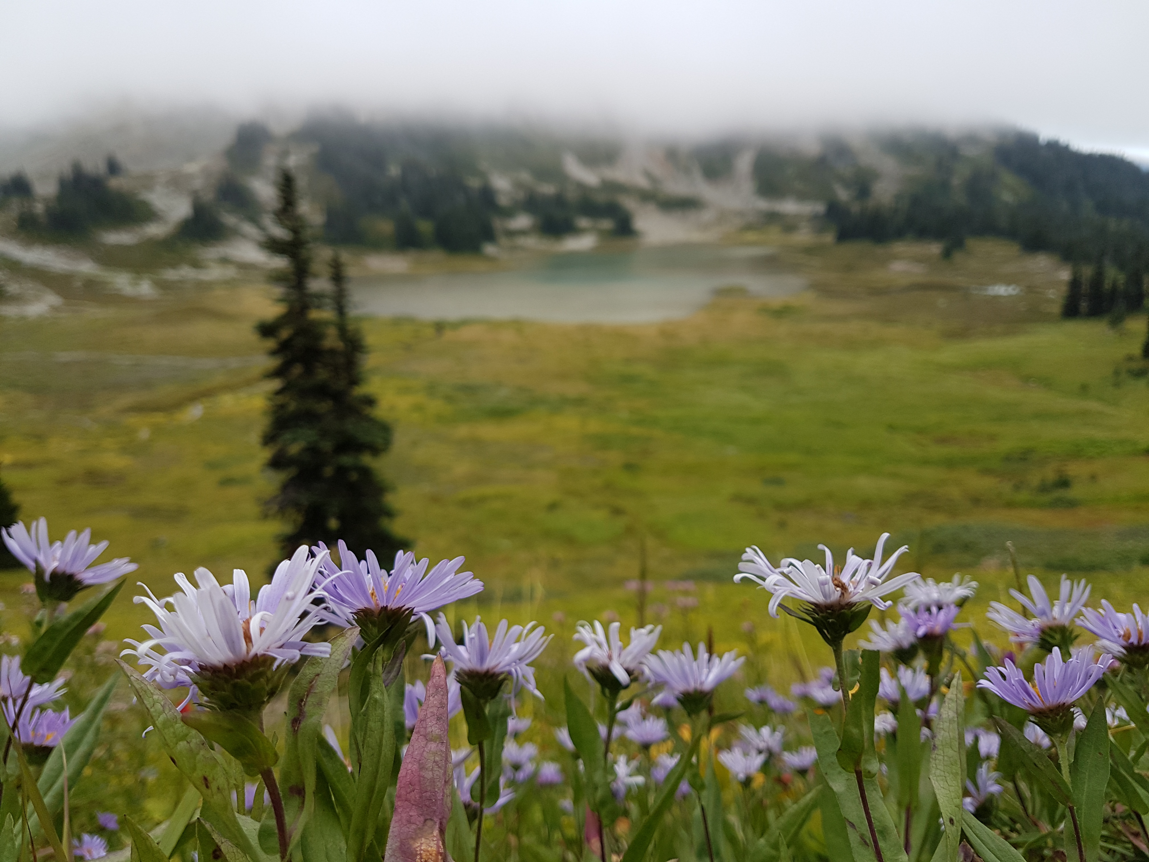 Garibaldi Provincial Park, British Columbia