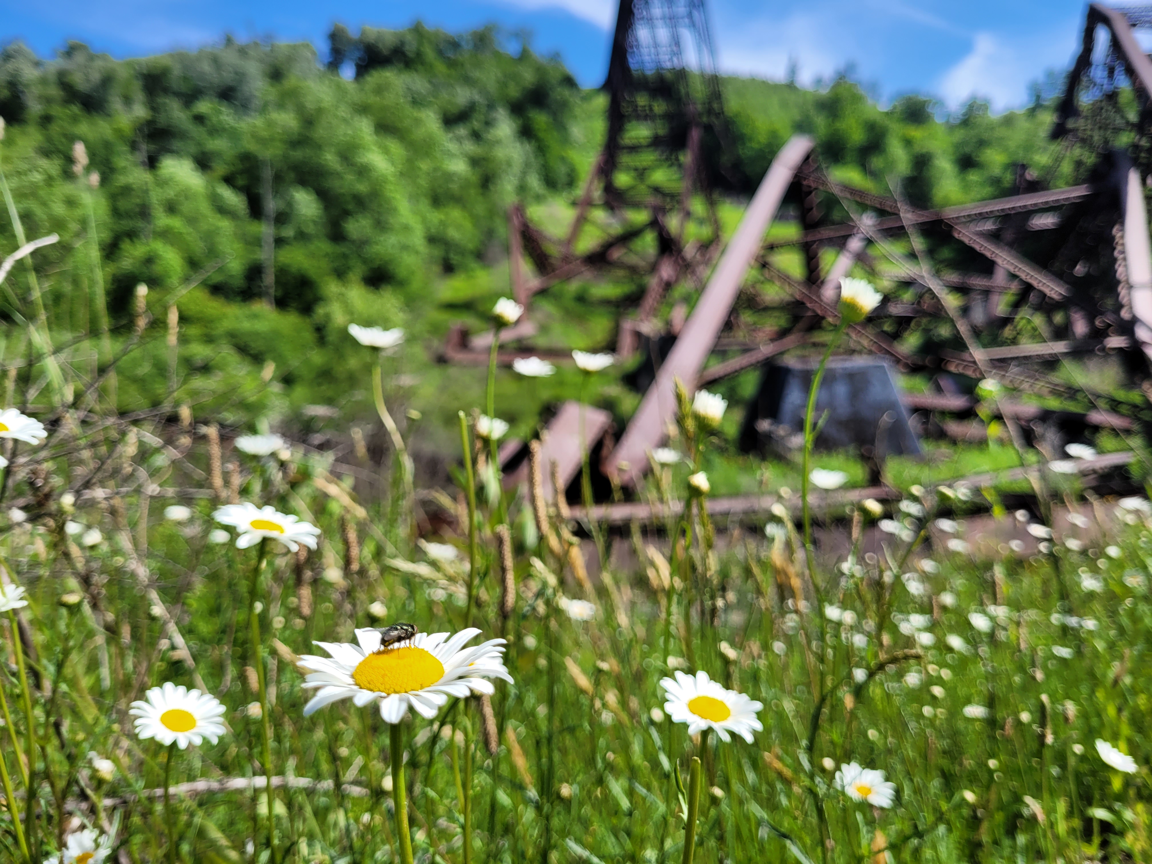 Kinzua Bridge, Pennsylvania