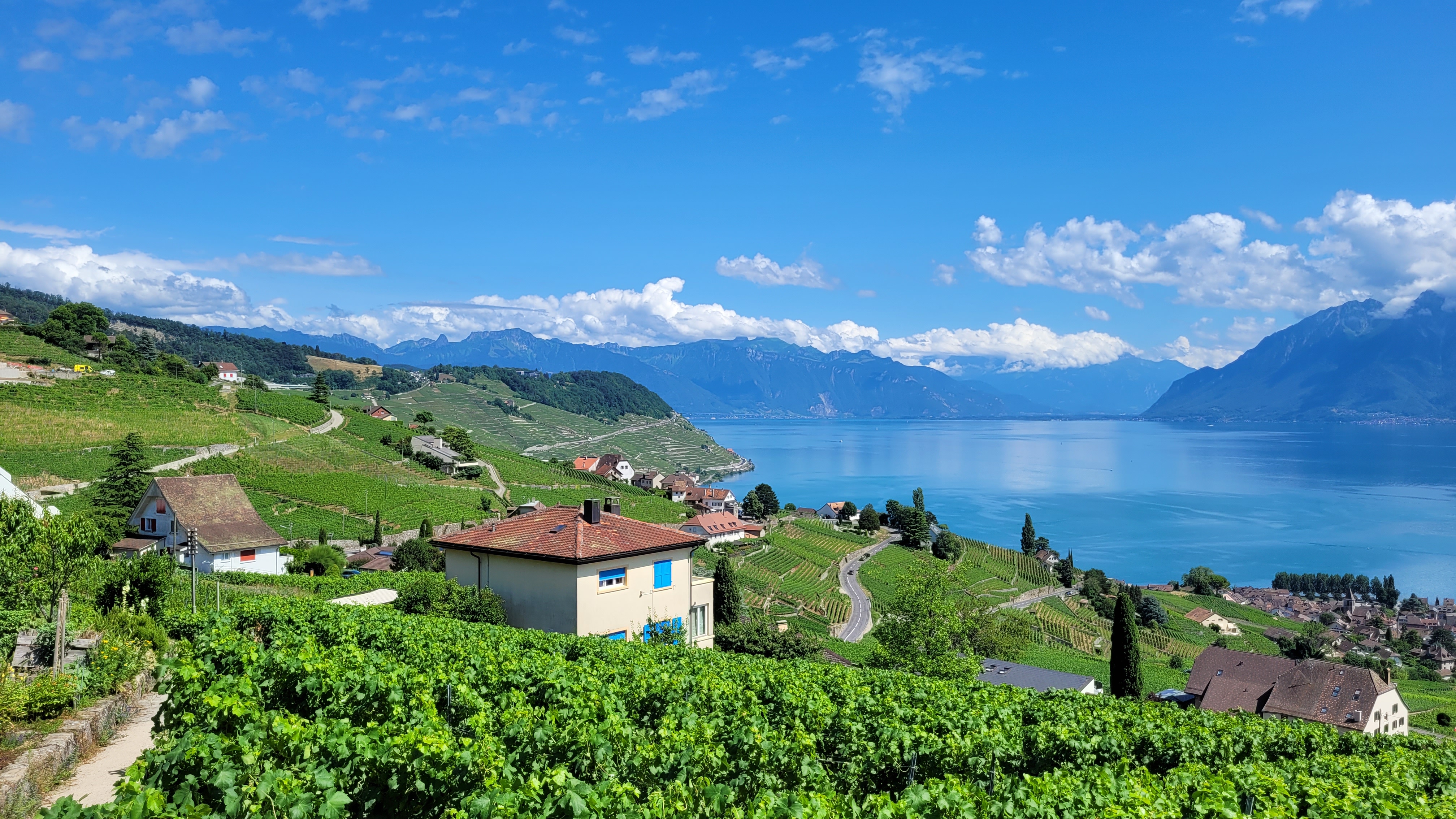 Terrasses viticoles de Lavaux, Lavaux